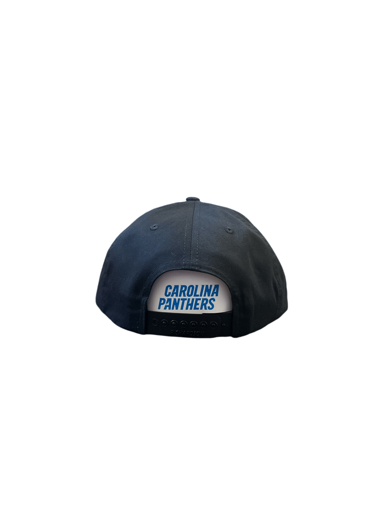 Carolina Panthers